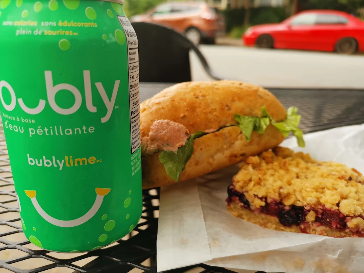 Salmon Sandwich and Triple Berry Square
