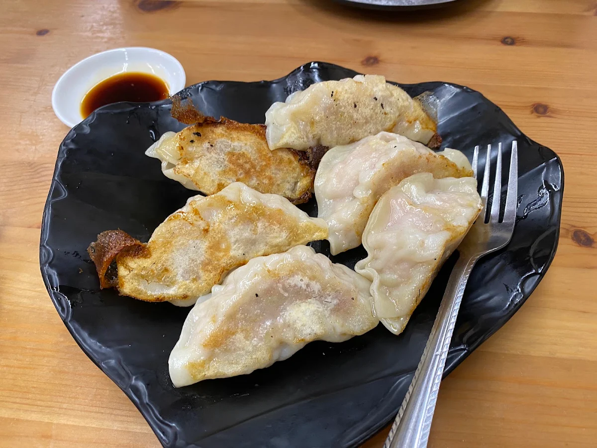 Pan Fried Dumplings