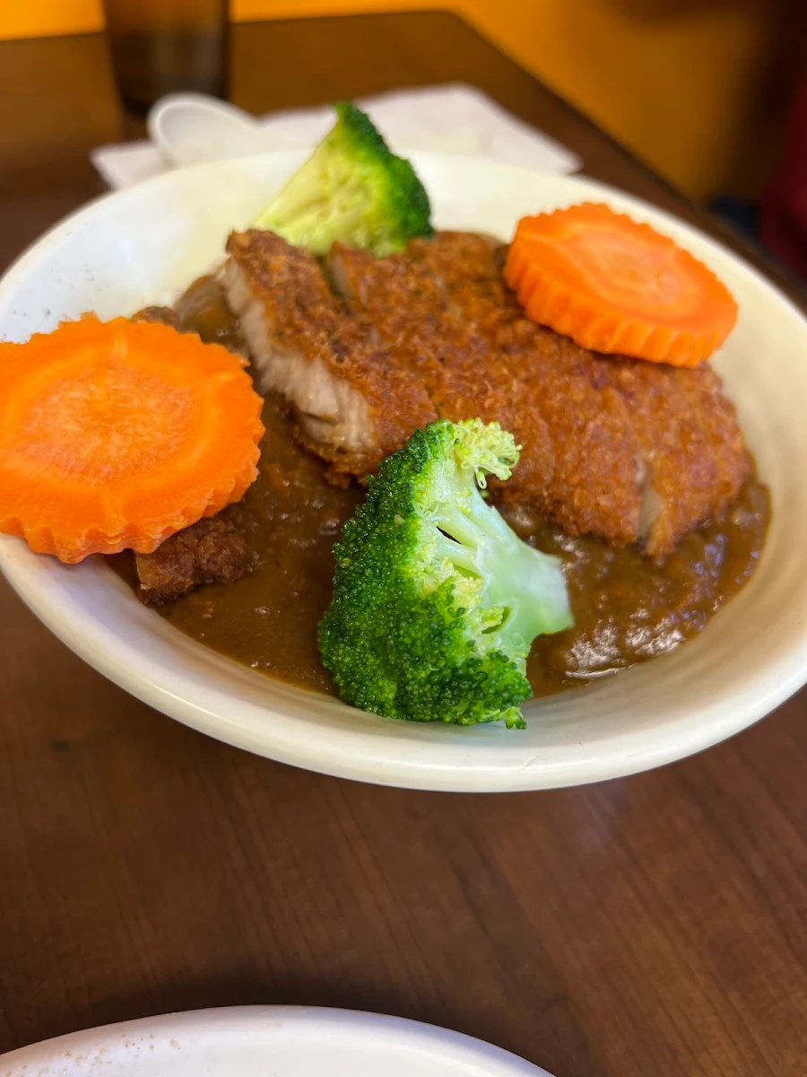 Curry Pork Chop w Rice