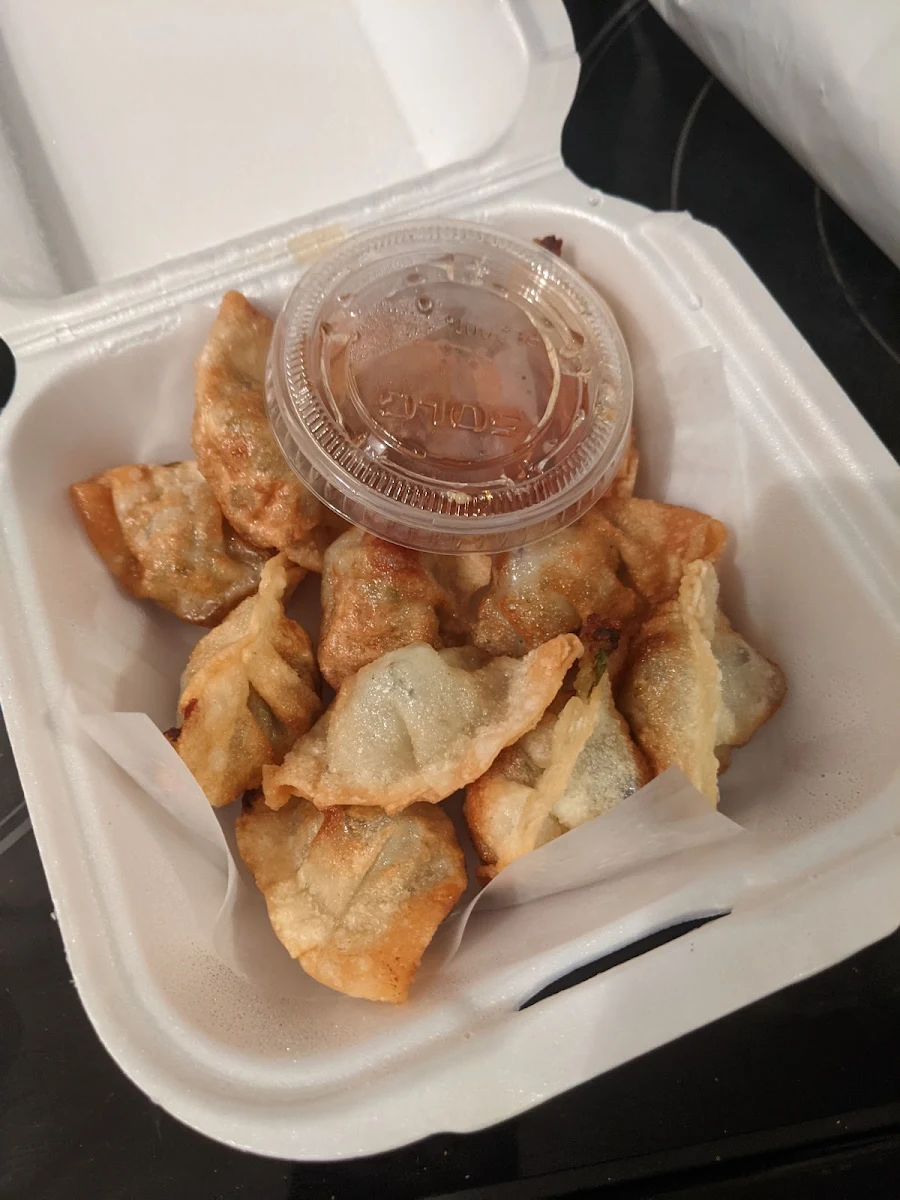 Chicken Dumplings