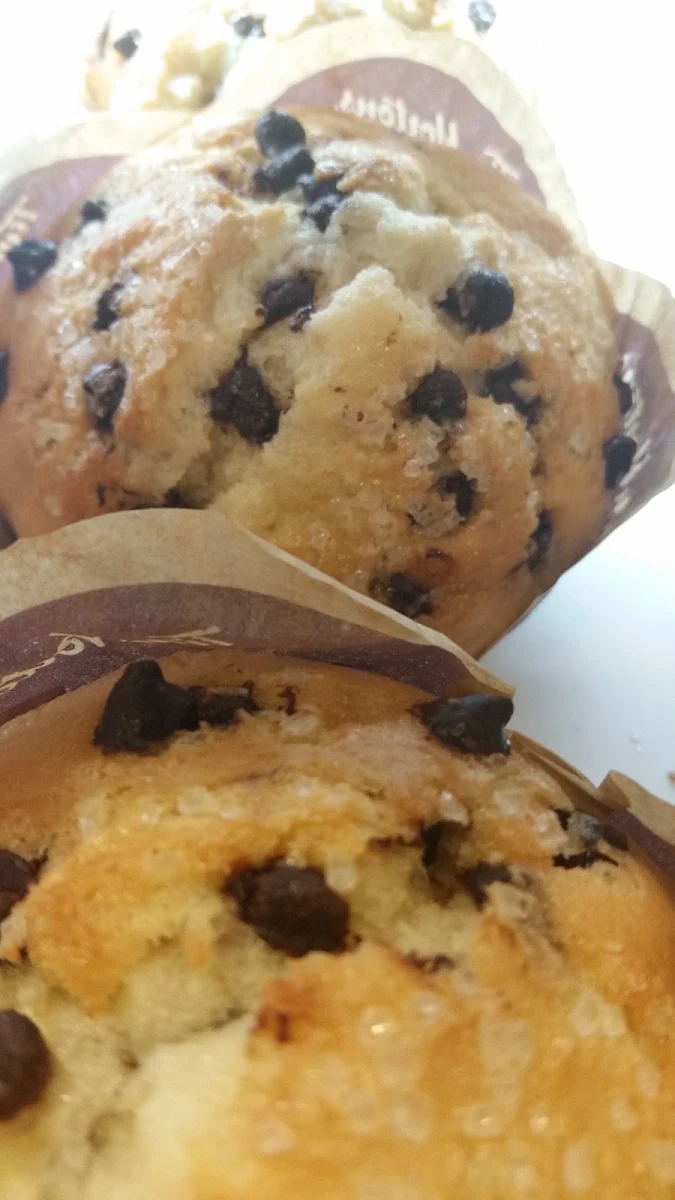 Chocolate Chip Muffin