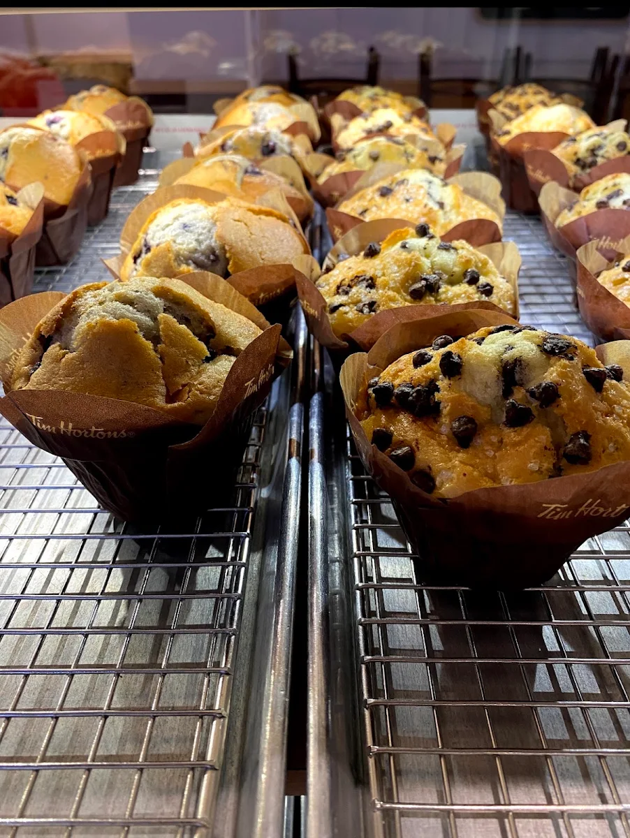 Chocolate Chip Muffin
