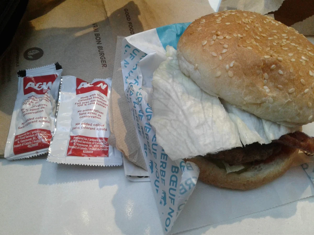 Teen Burger with Ketchup