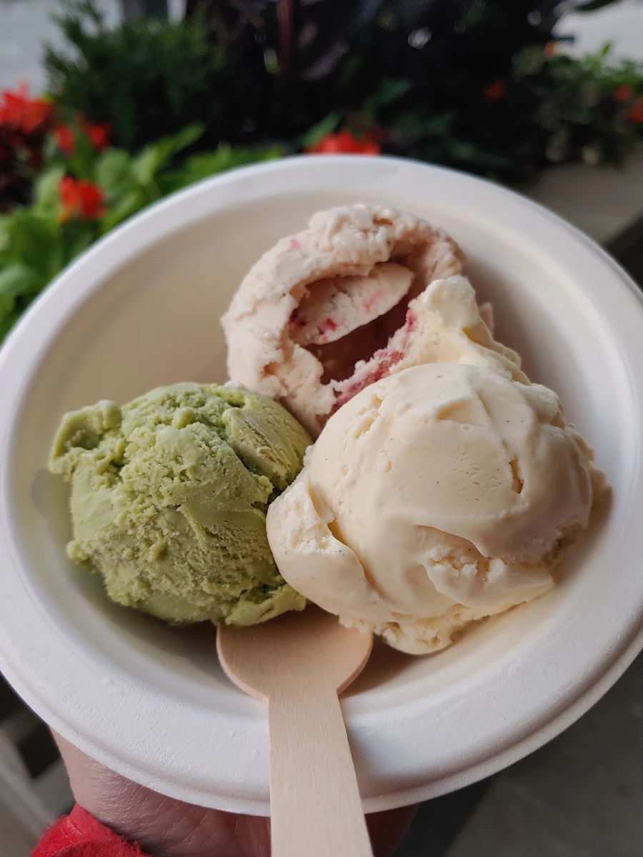 Goose Tracks Vanilla Bean Strawberries & Cream