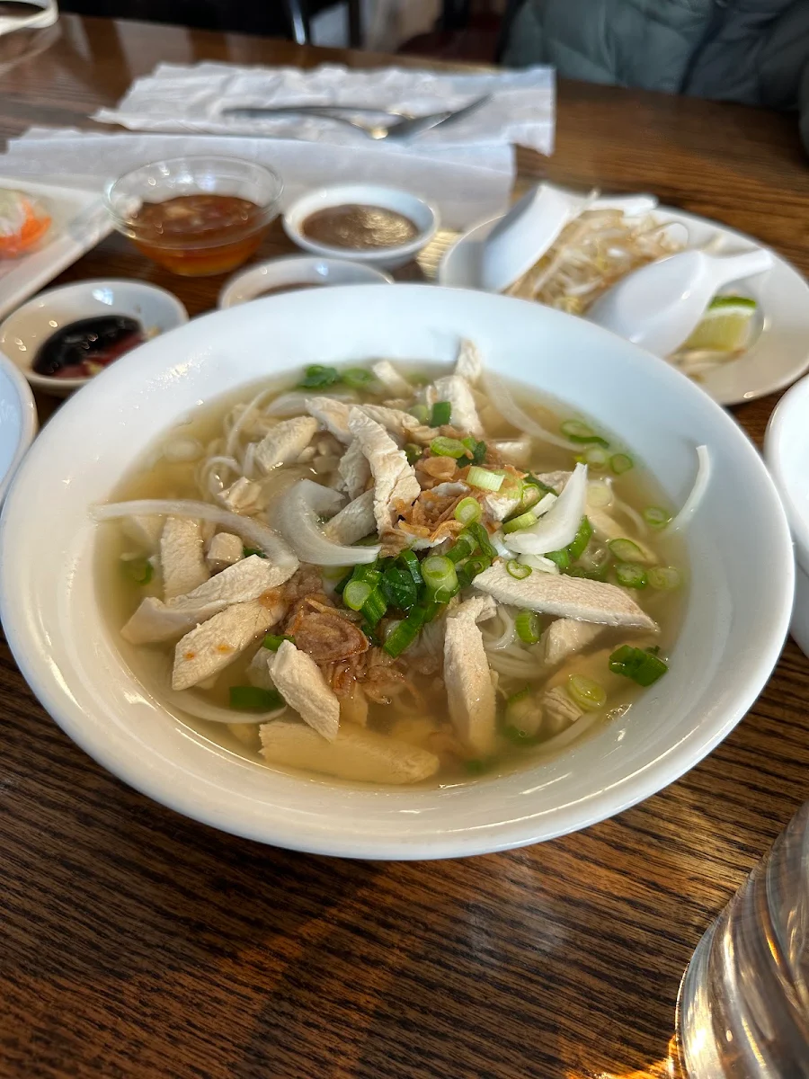 Chicken Noodle Soups