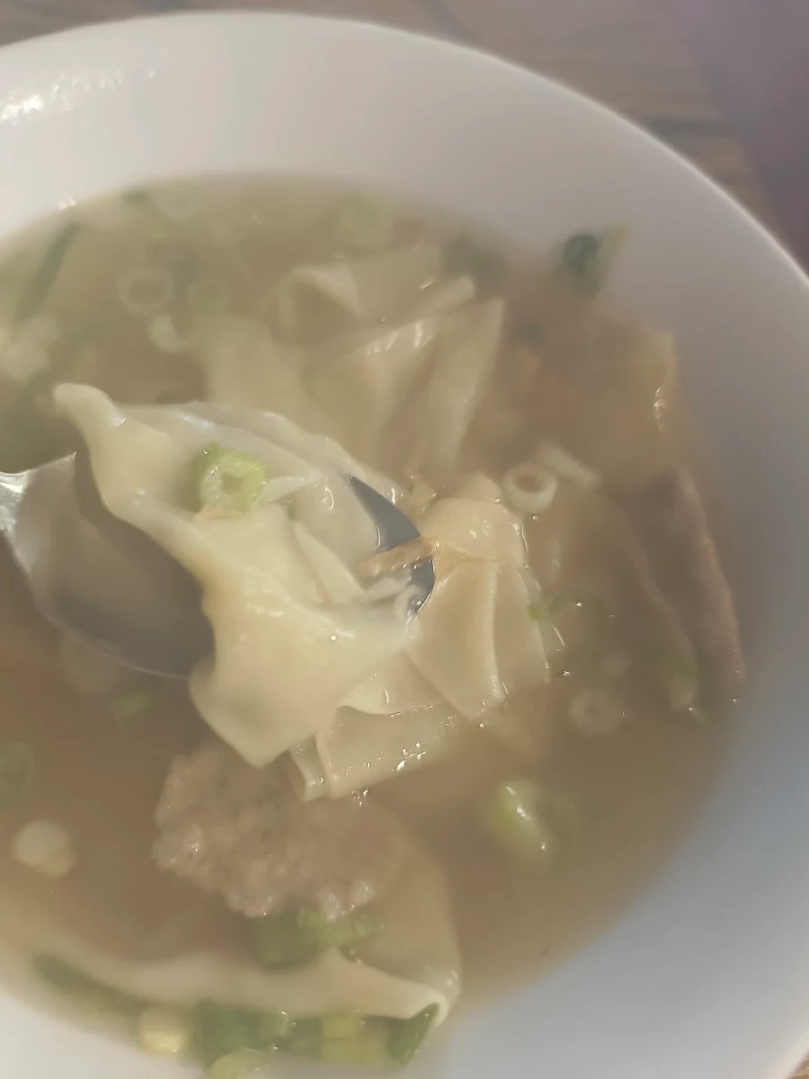 Wonton Soup