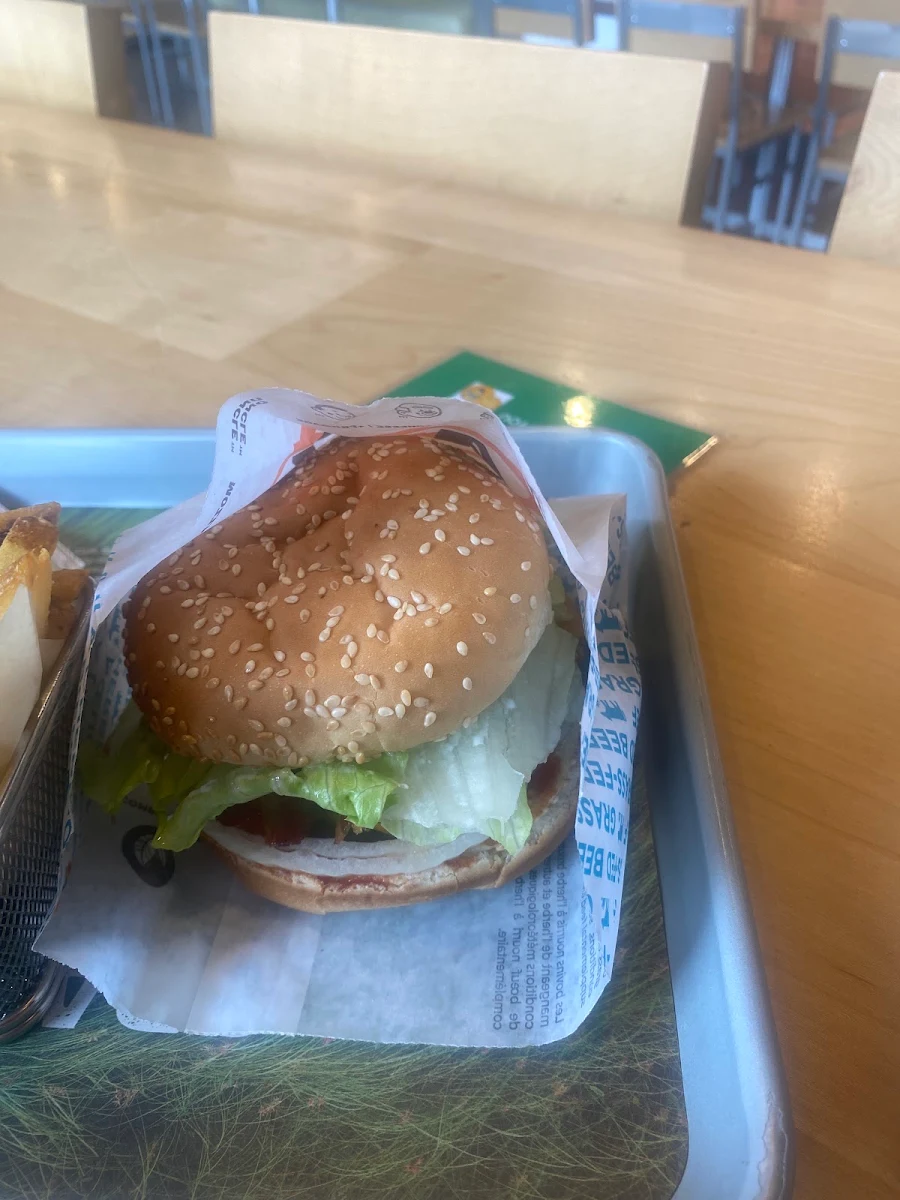 Teen Burger
