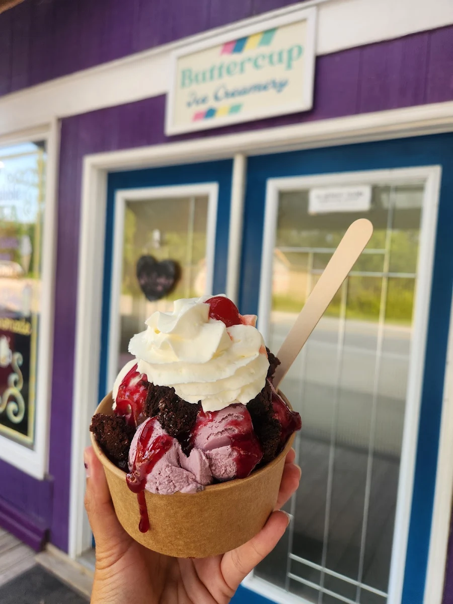 Black Cherry & Raspberry Thunder Sundae with Raspberry Sauce & Bronie Toppings