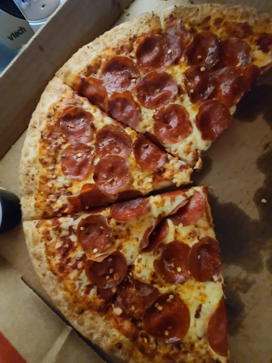Cheese and Pepperoni Pizza