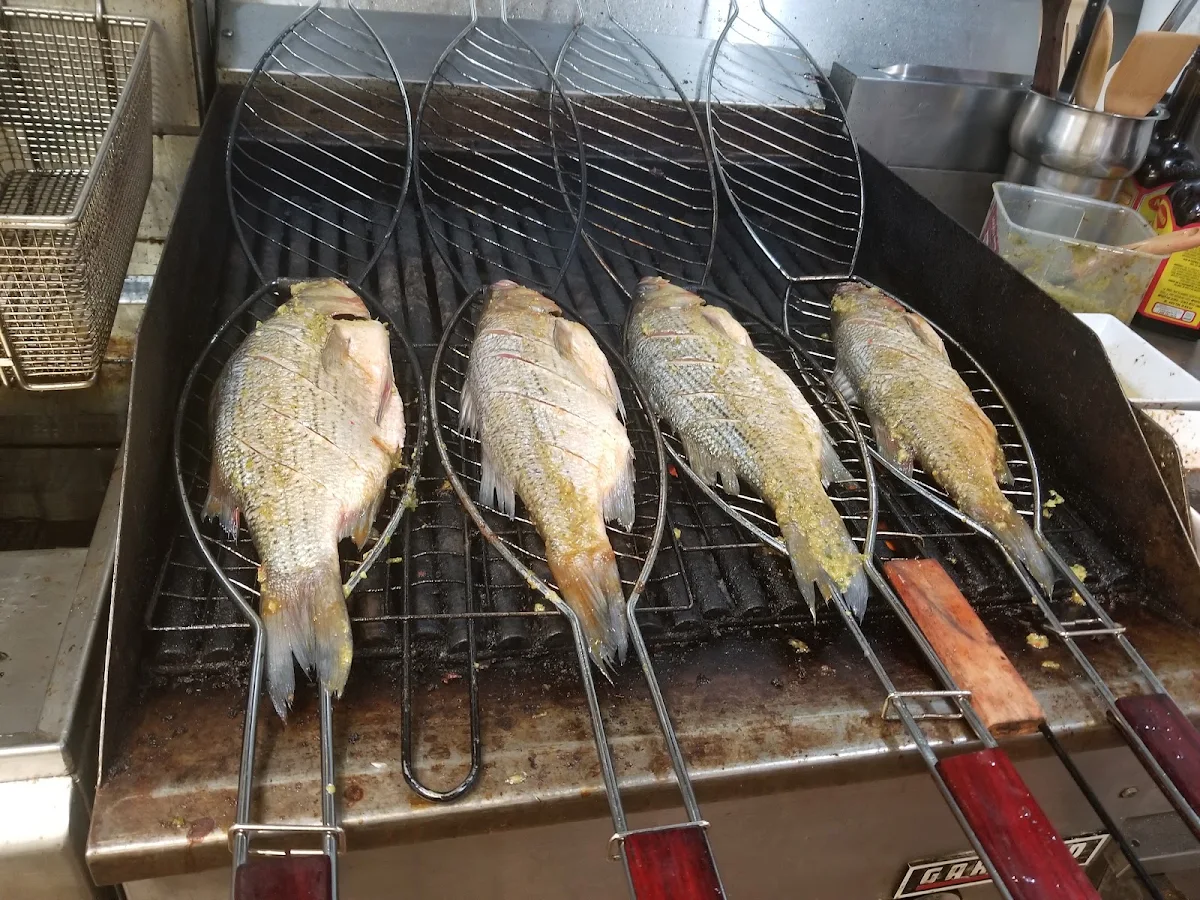 Roasted Grilled Fish