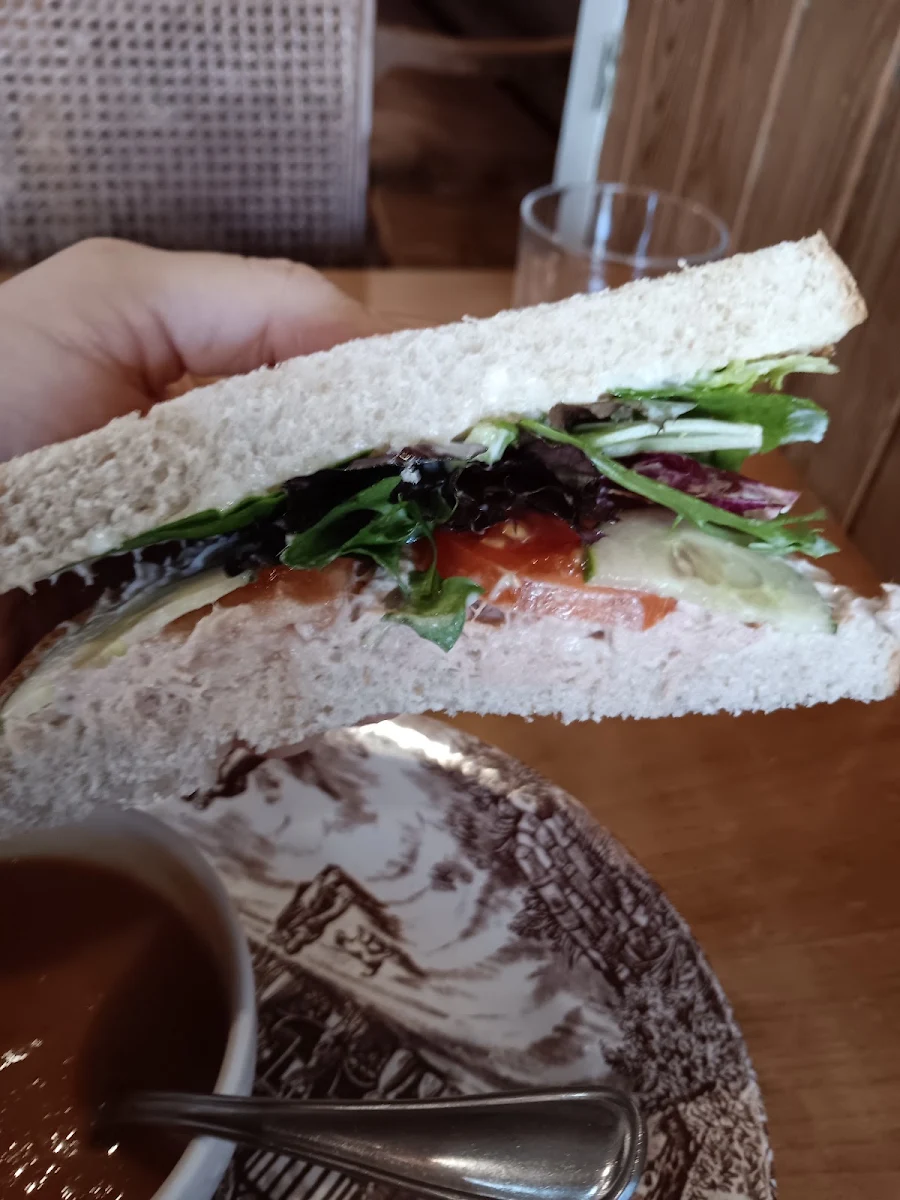 Tuna Salad Sandwich