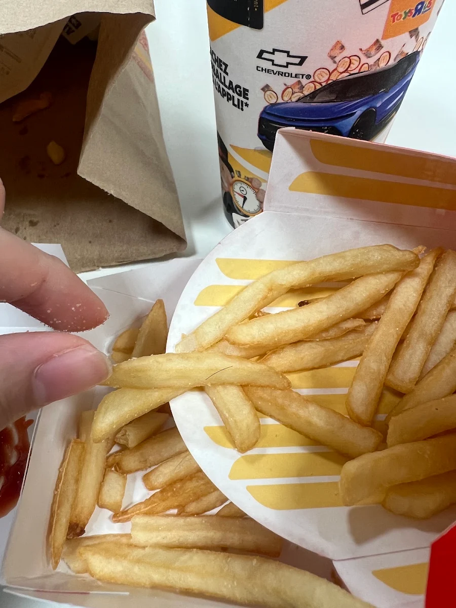 World Famous Fries – Small