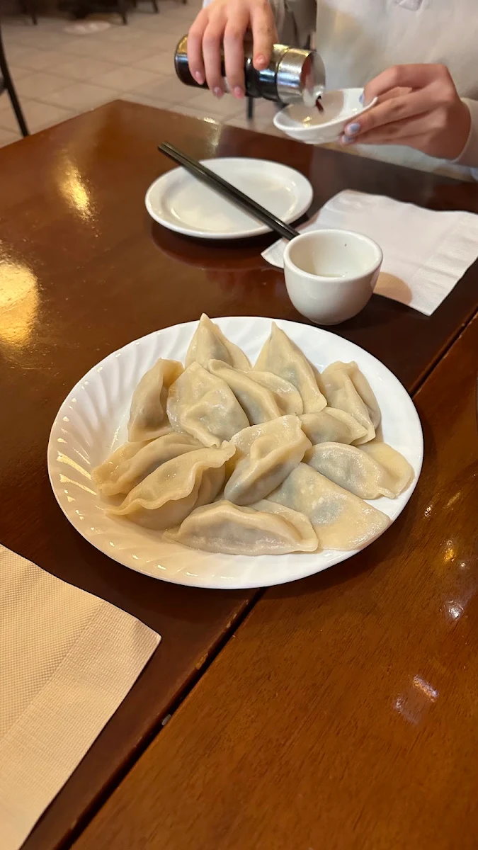 Vegetarian Steamed Dumplings
