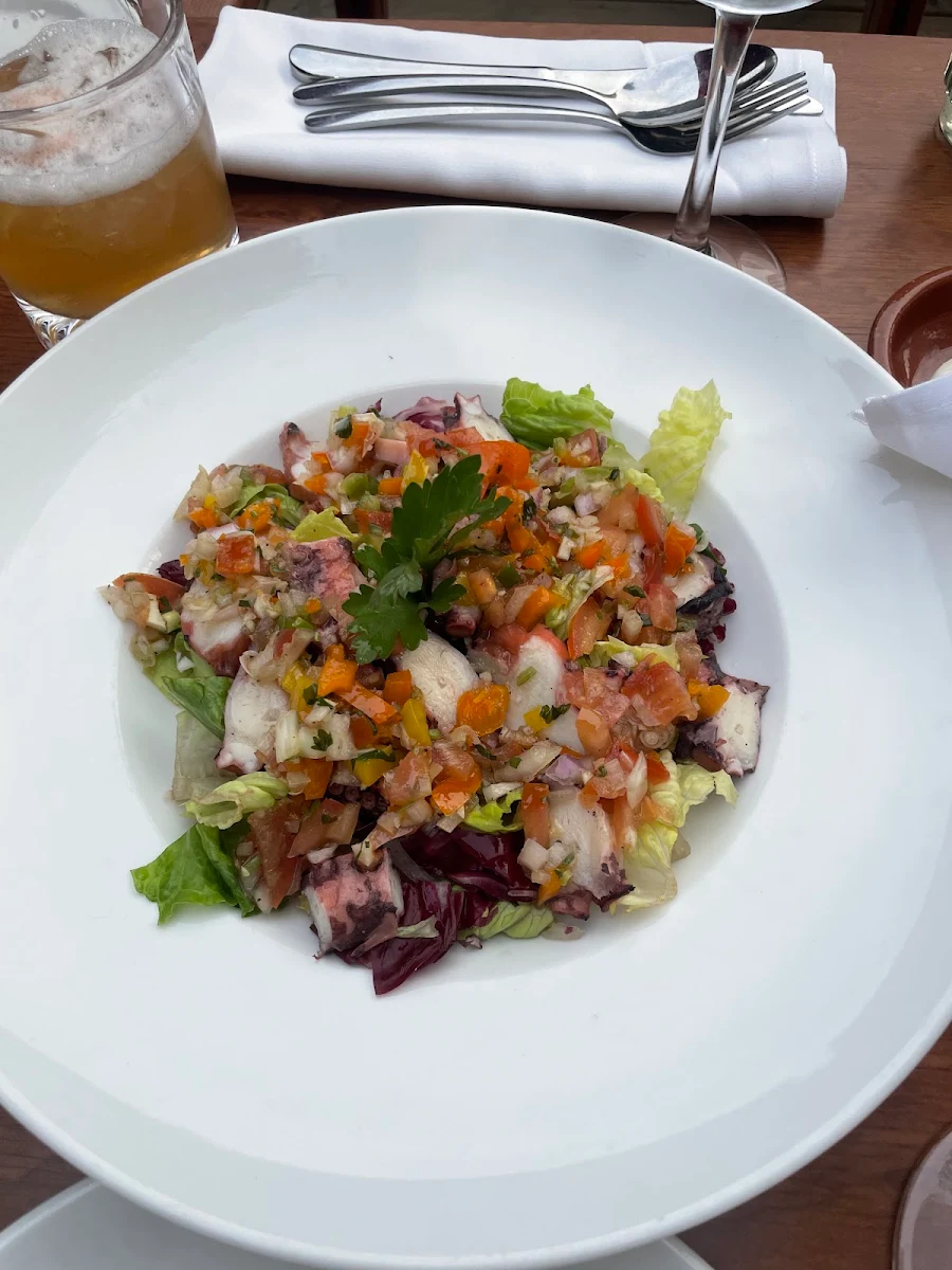 Octopus Salad