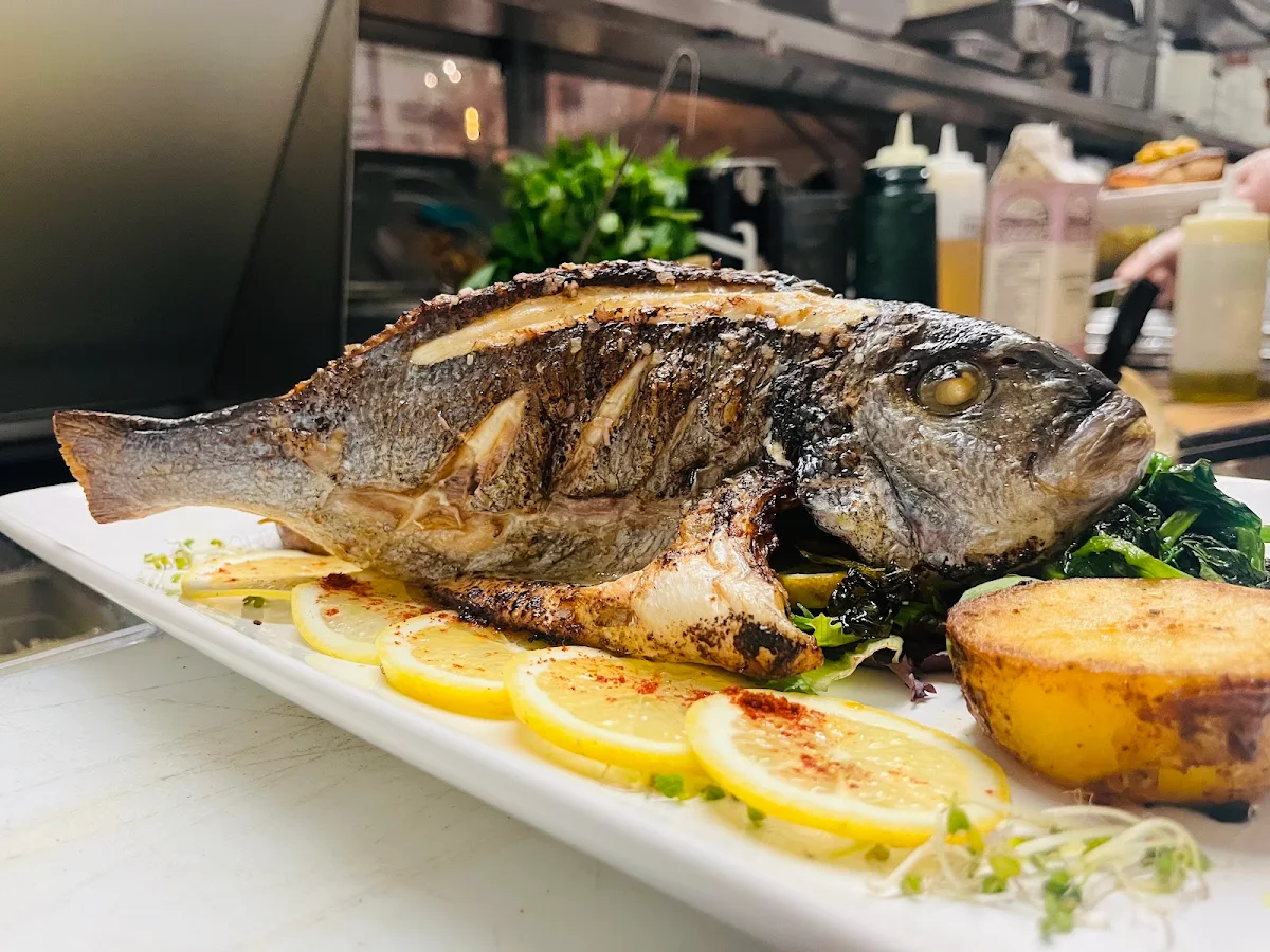 Meditteranean Sea Bass
