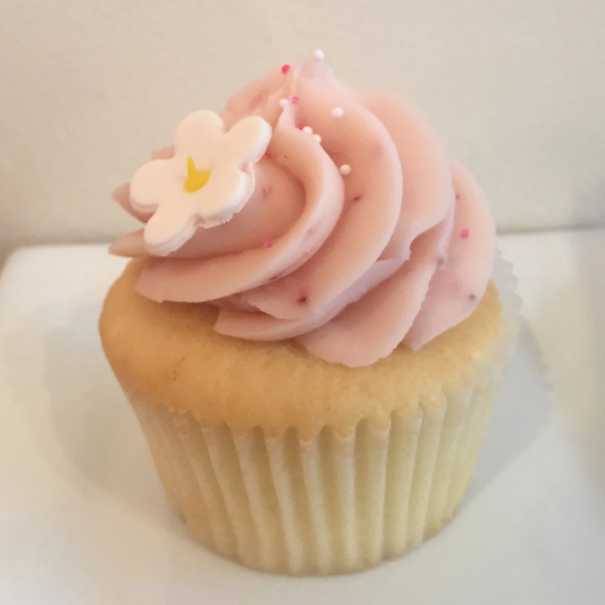 Cupcake Végane Sans Lactose - Vanille