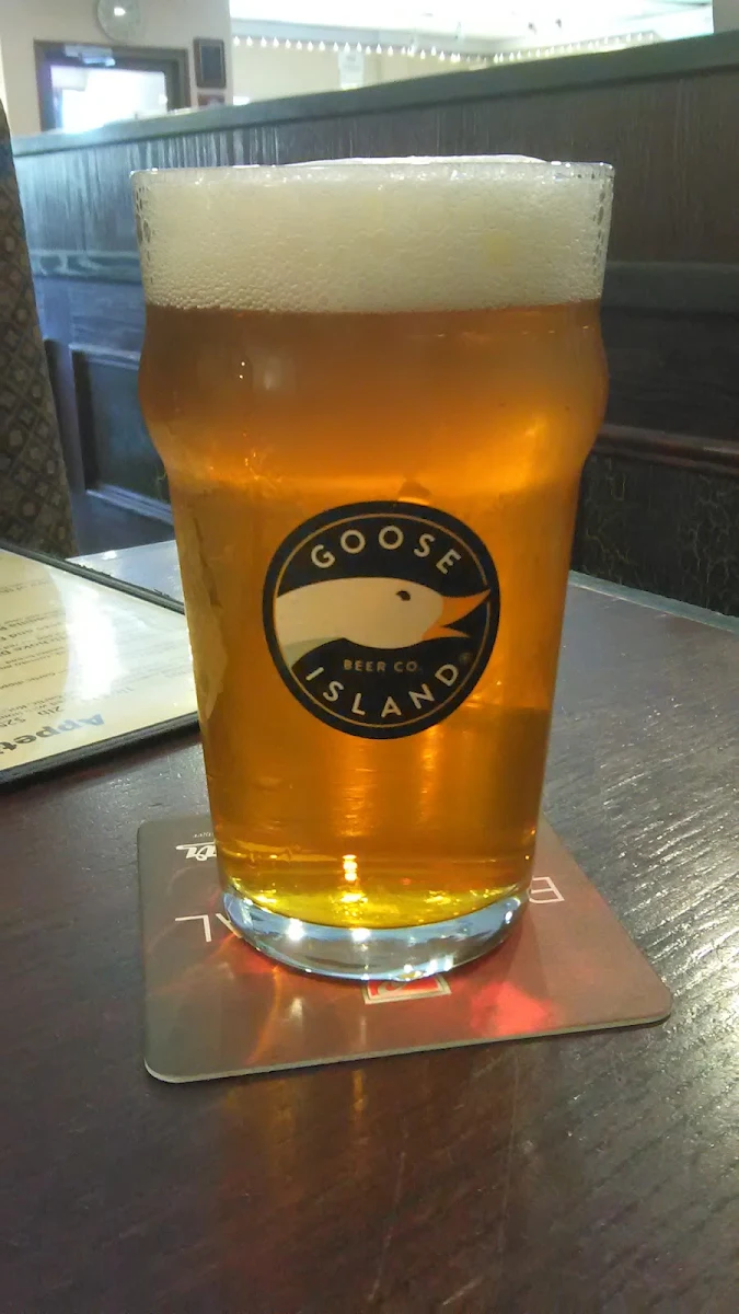 Goose Island IPA