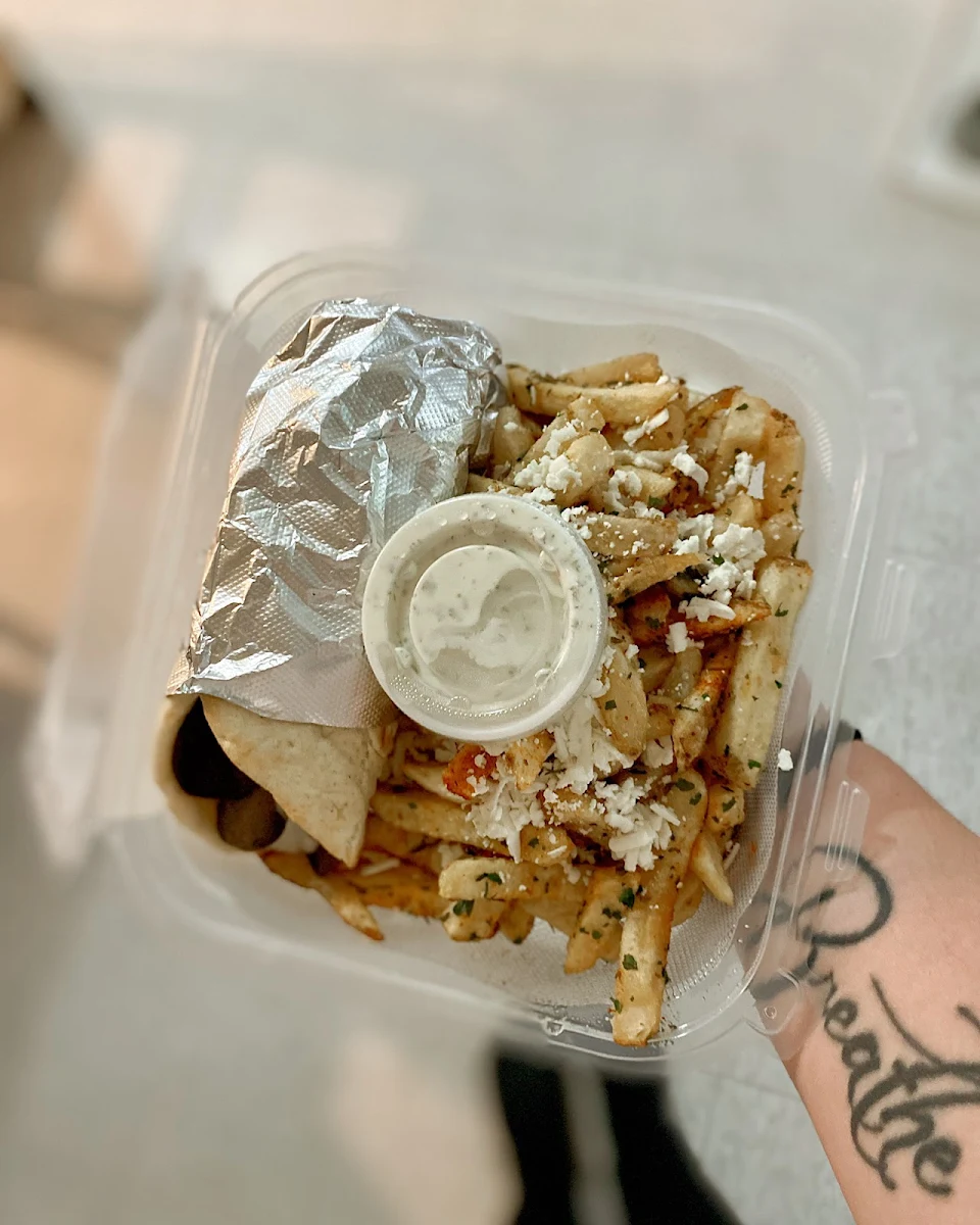 Gyro Wrap and Greek Fries