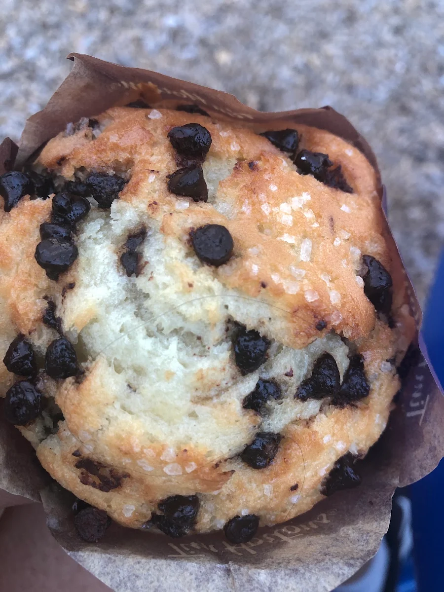 Chocolate Chip Muffin