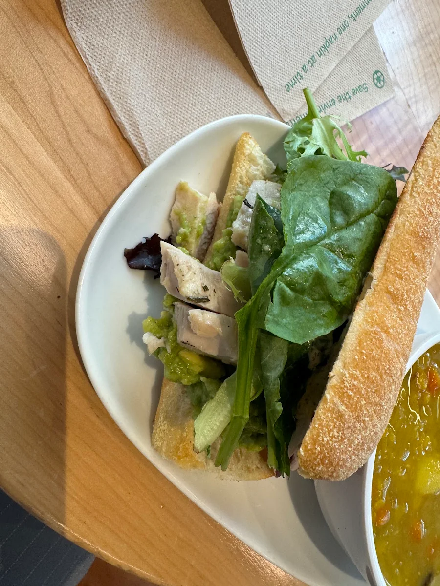 Chicken & Avocado