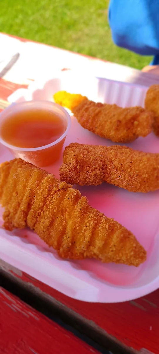 Chicken Fingers and Fries