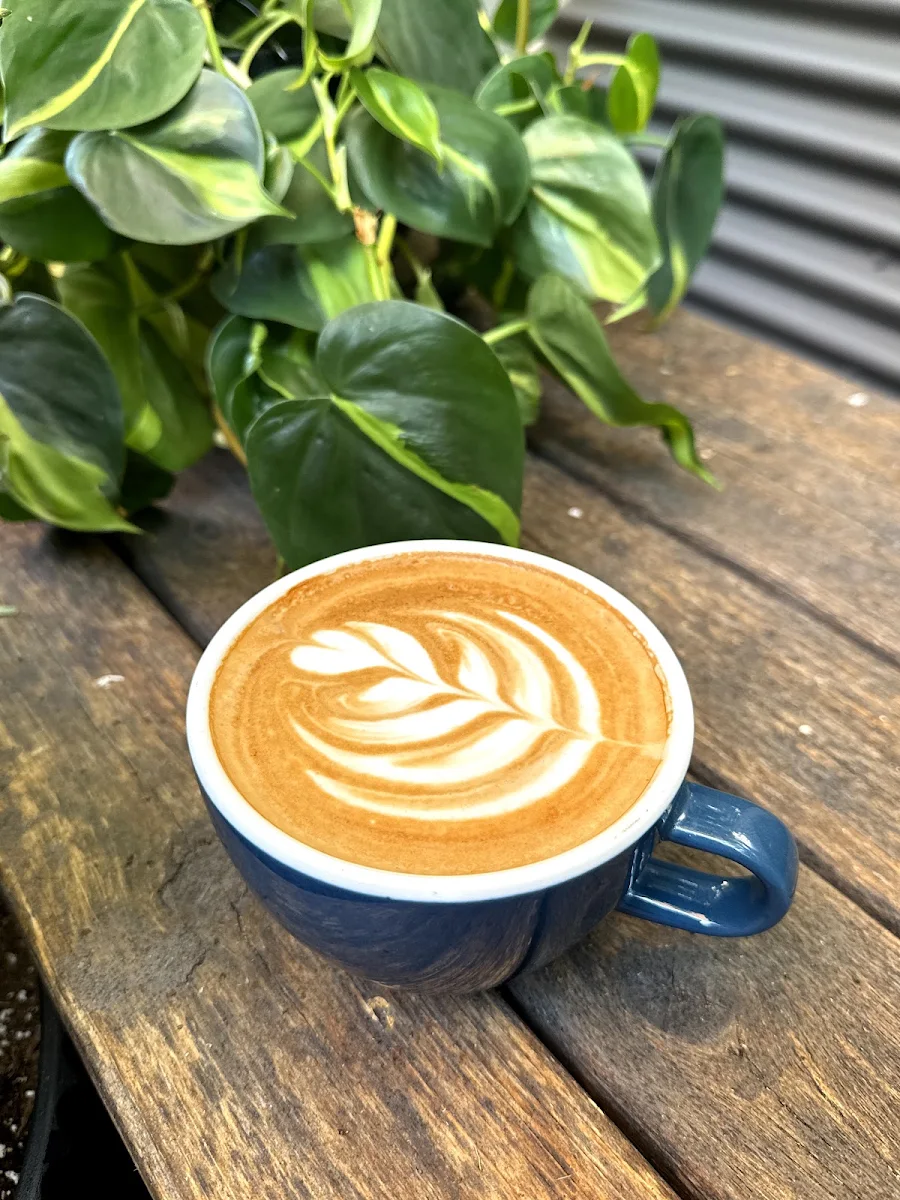 Coffee