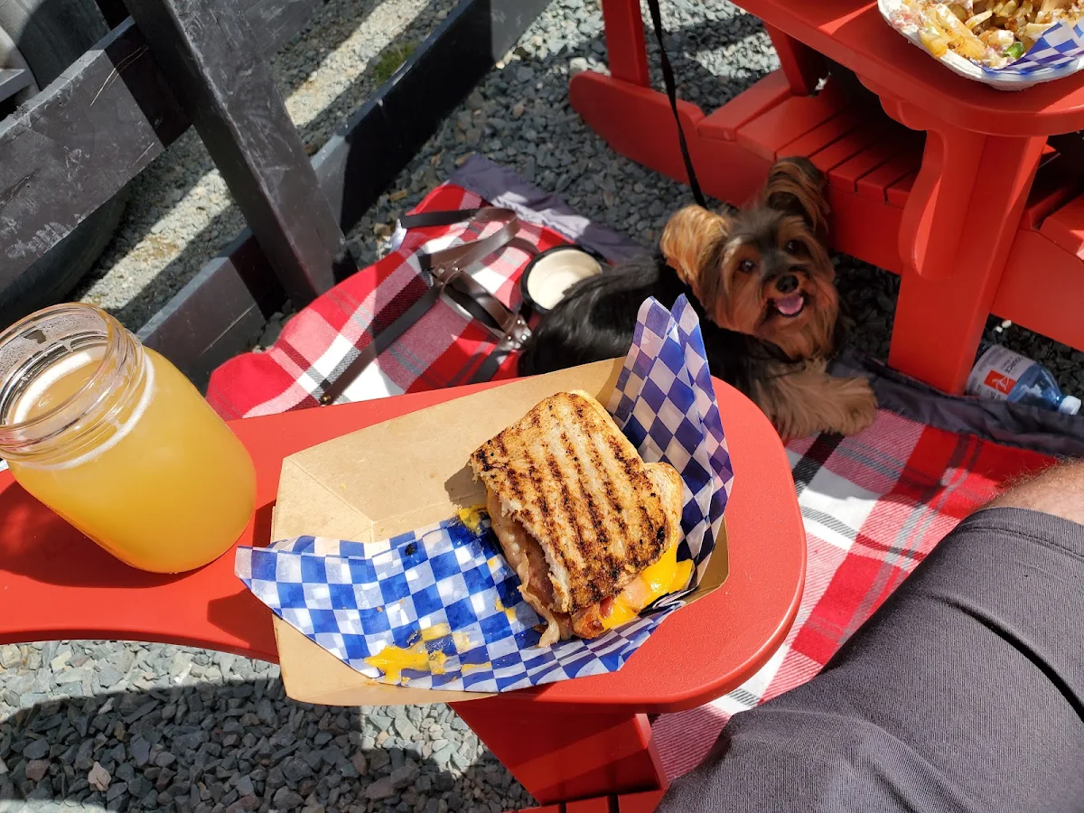Session IPA with a Grill Cheese w Bacon and 1 Happy Pooch