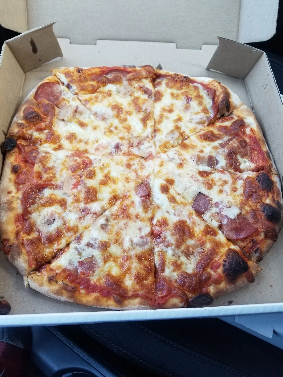 Large Pepperoni Mushroom Onion and Xtra Cheese Well-Done