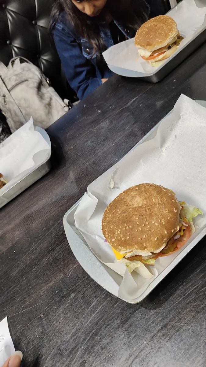 Veggie Burger Patty