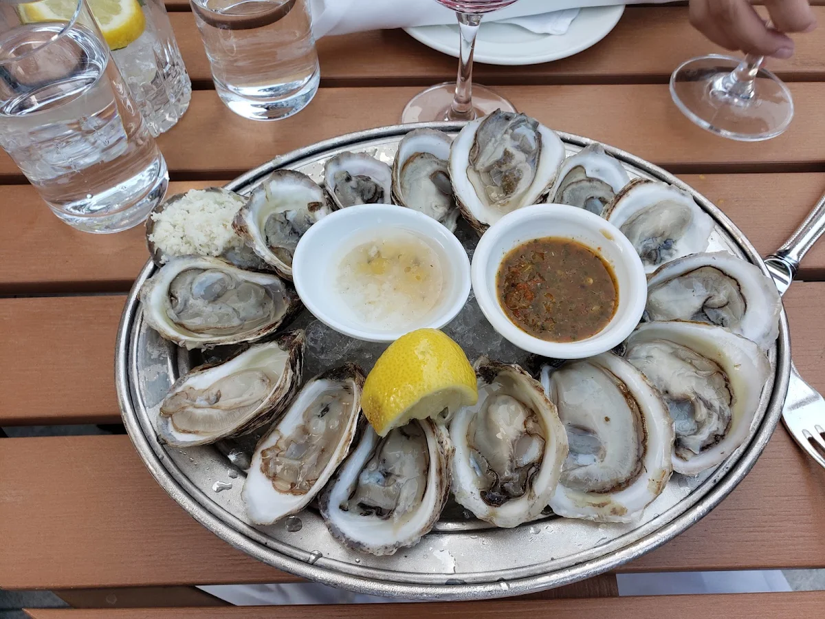 Half Dozen Oysters