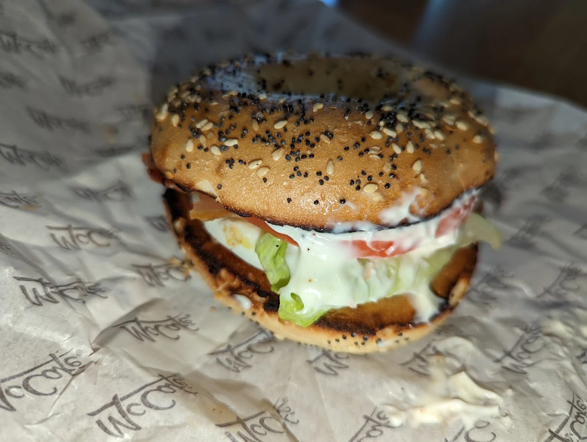 Everything Bagel