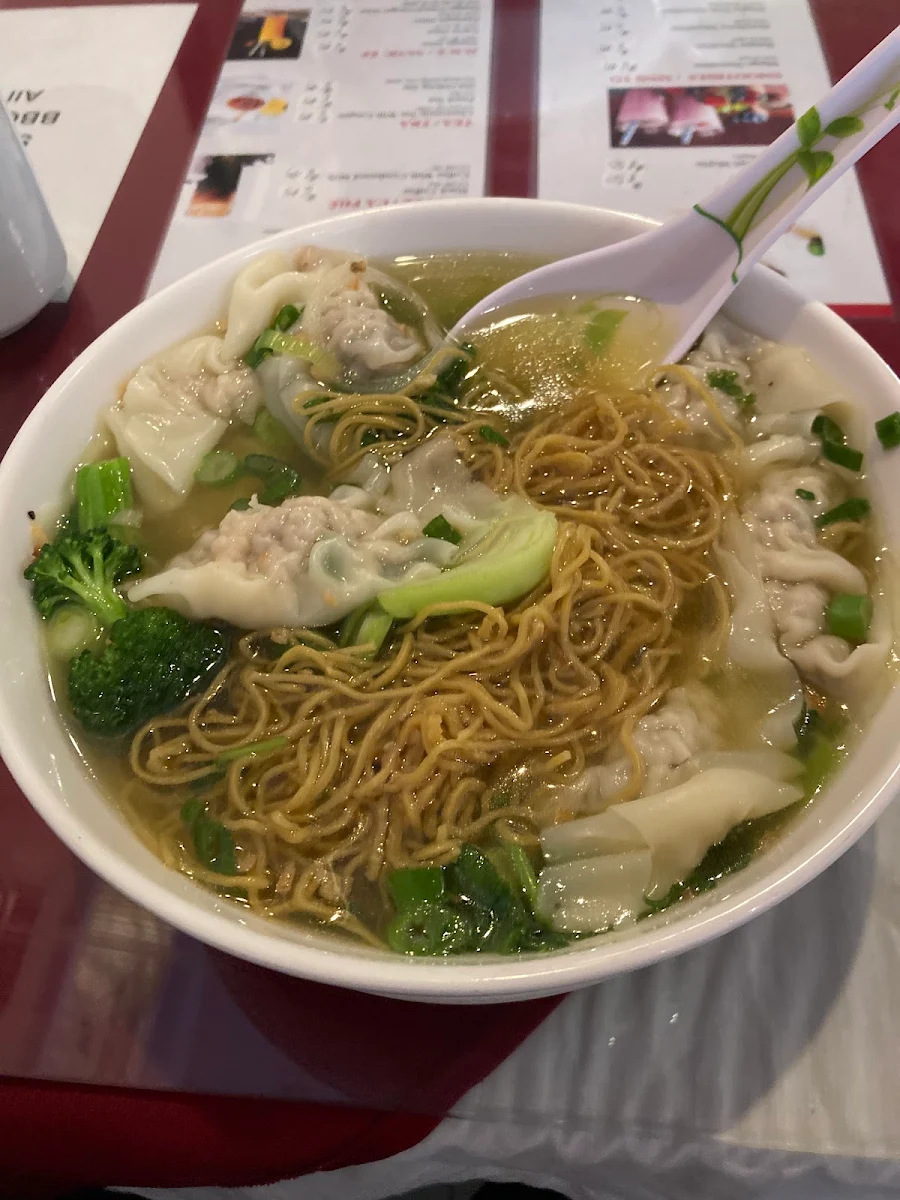 Wonton Egg Noodle Soup