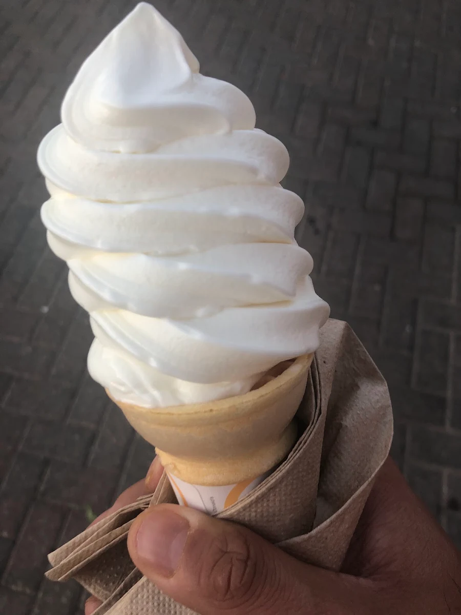 Vanilla Cone