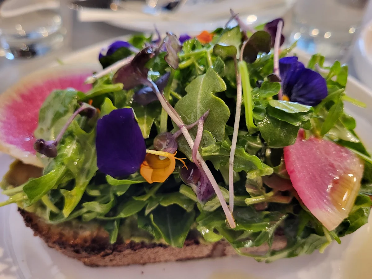 Panchita Avocado Toast