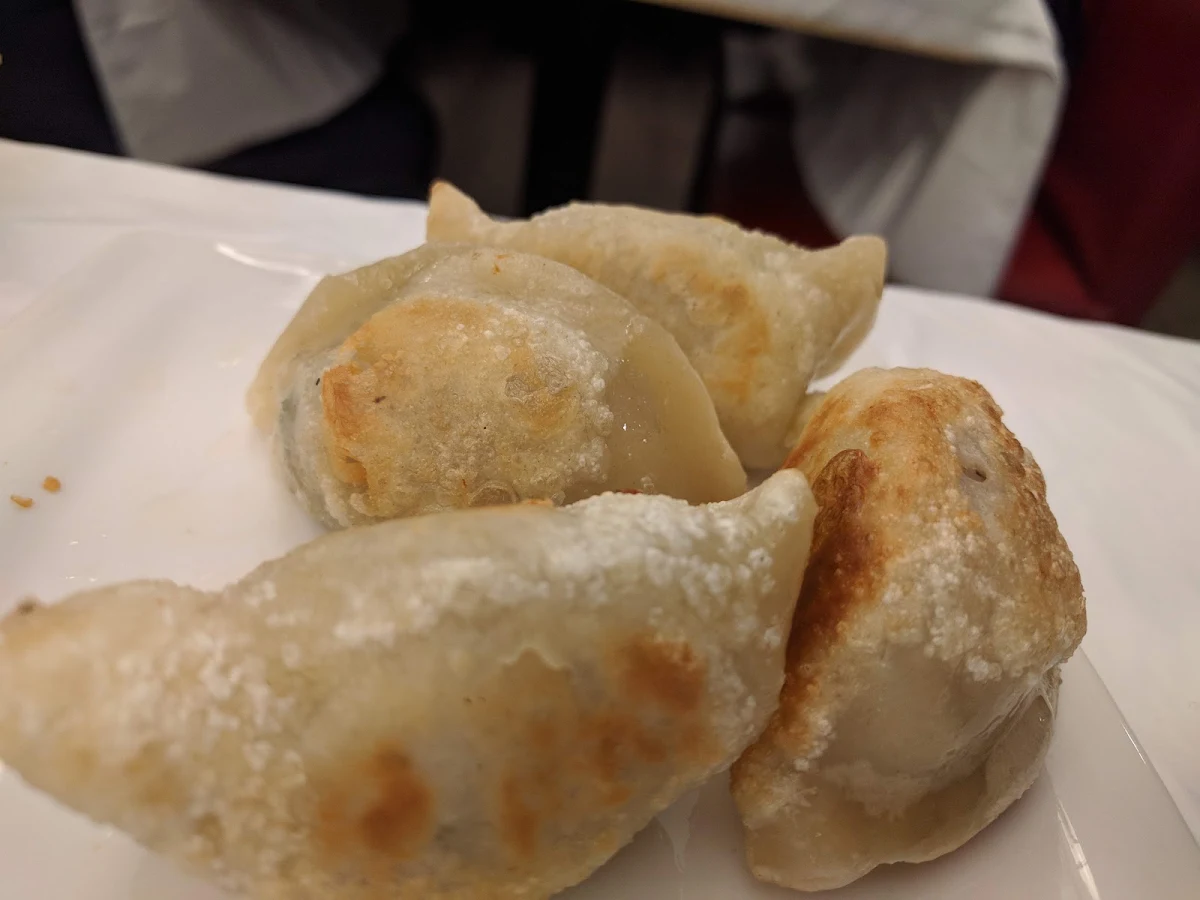 Fried Pork Dumplings
