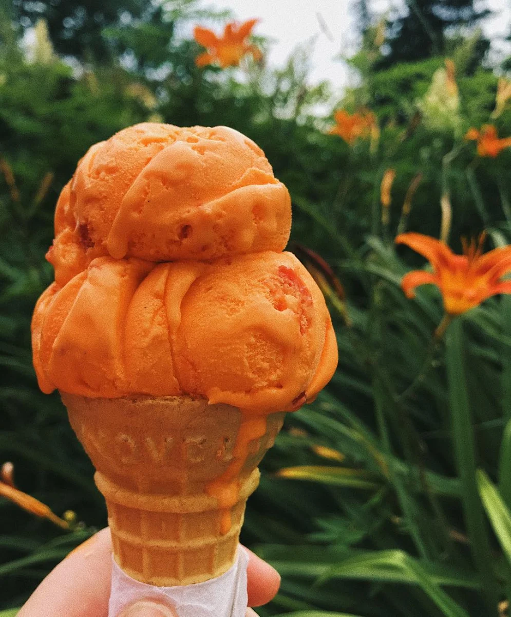 Orange Sherbet