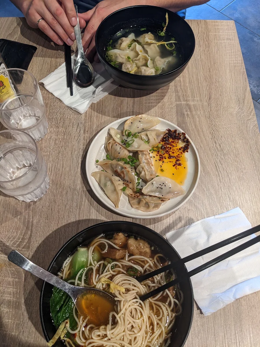 Beef Stew Noodle Soup Fried Pork and Leek Dumplings Wonton Soup