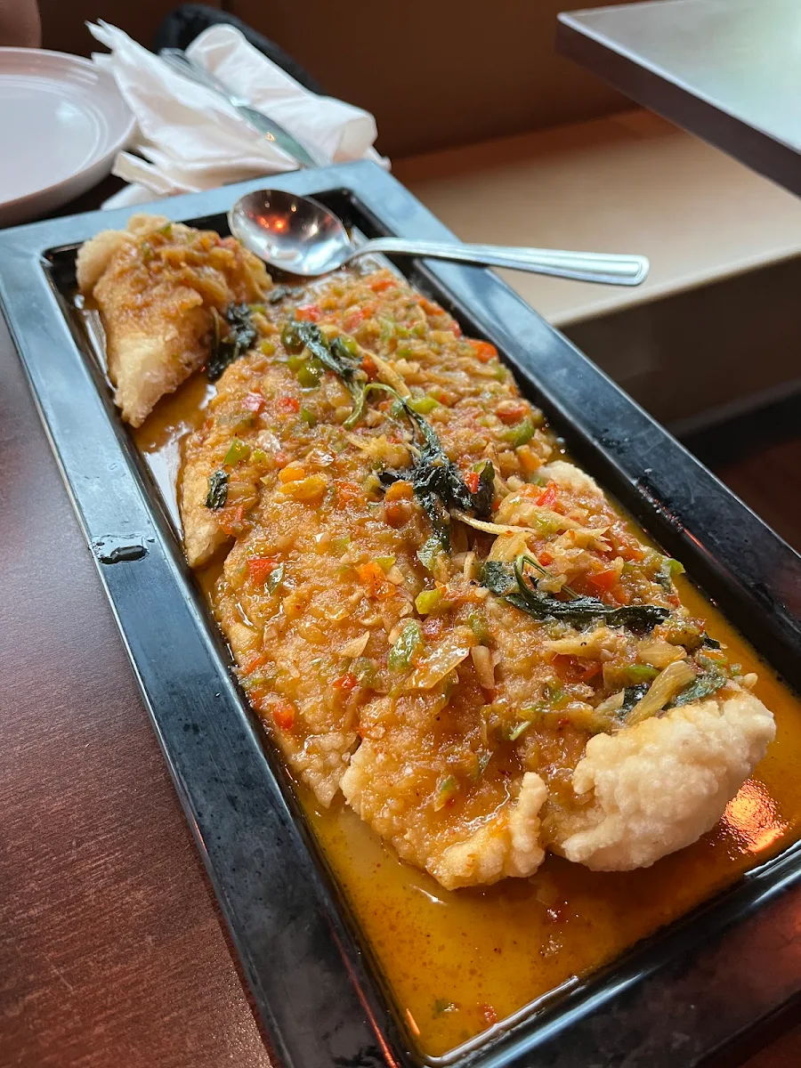 Choo Chee Fish