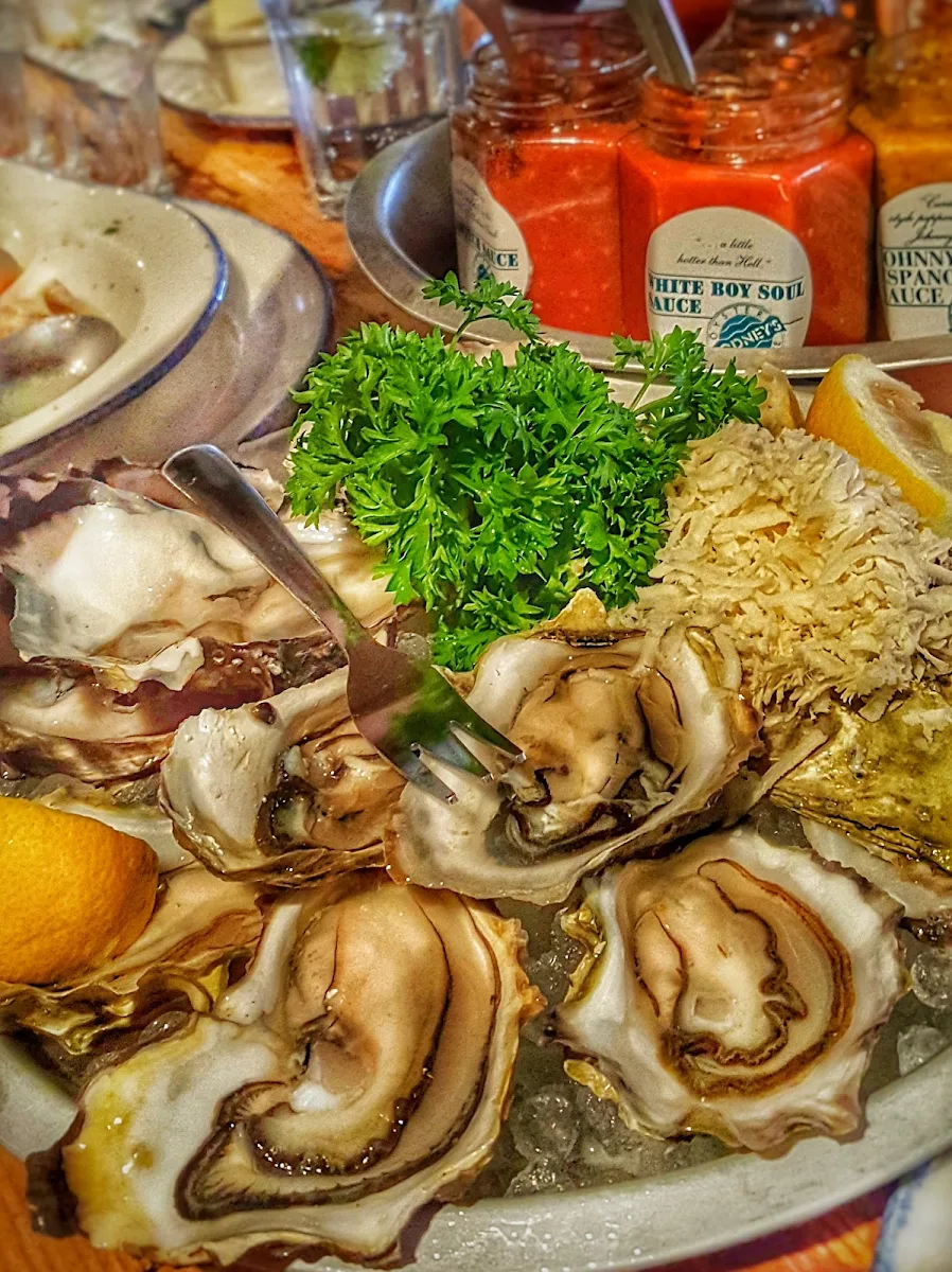 Fresh Oysters