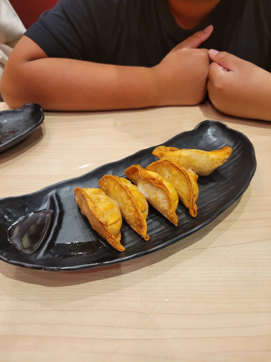 Pork Gyoza Deep Fried