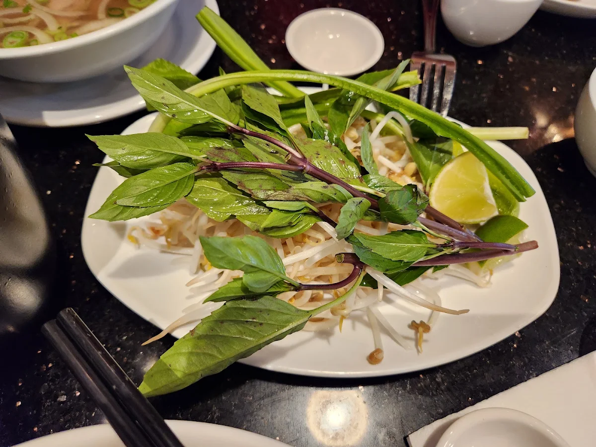 Bean Sprouts & Mint Leaves