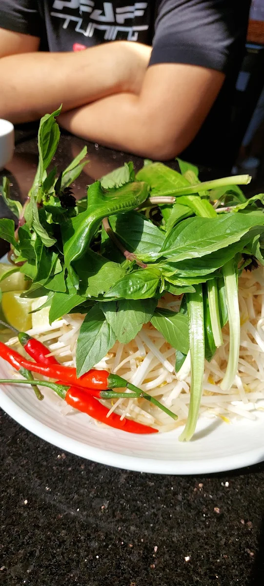 Special Combo Beef Rice Noodle Soup Pho DAC Biet