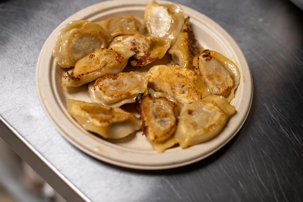 F15 Fried Dumplings 12