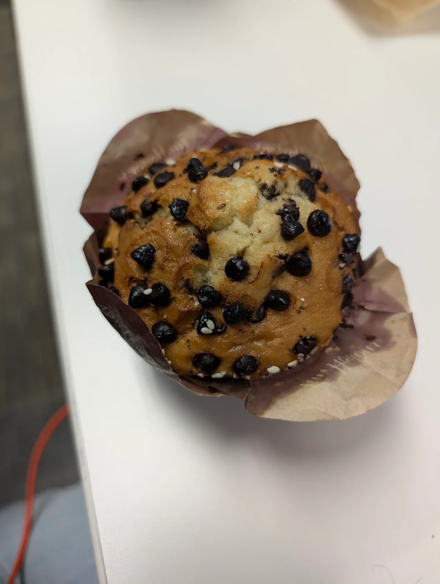 Chocolate Chip Muffin
