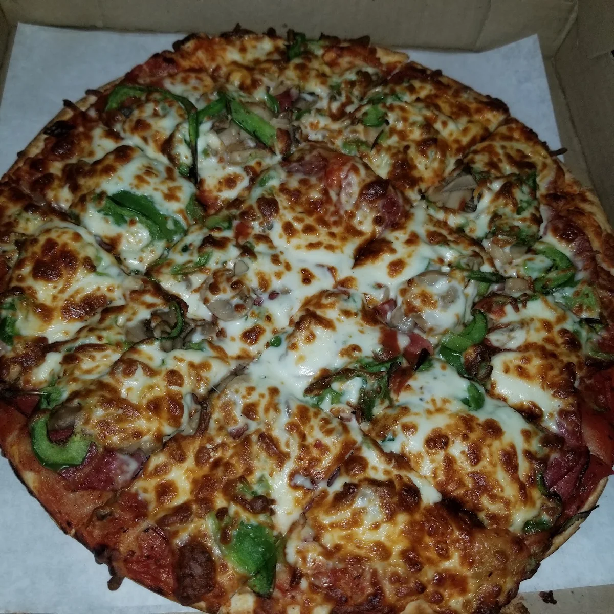 Dals Special Pizza