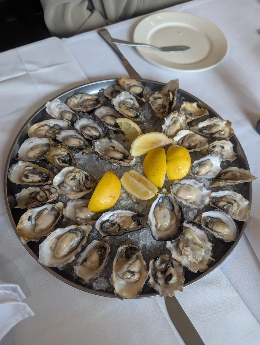 Fresh Oysters