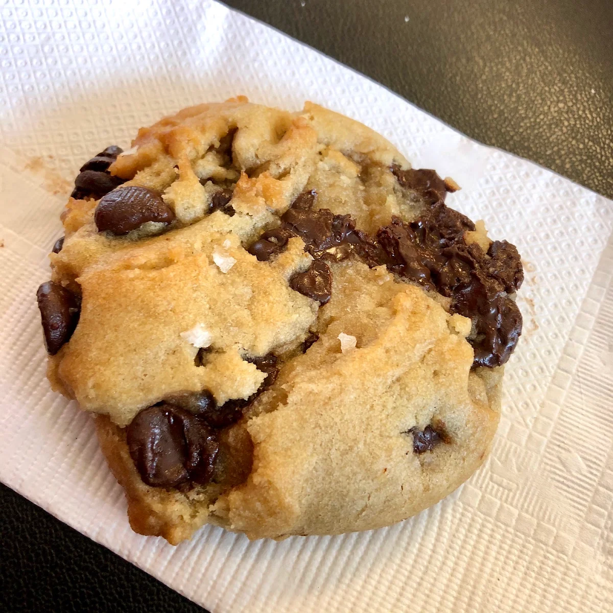 Homemade Oatmeal Chocolate Chip Cookie