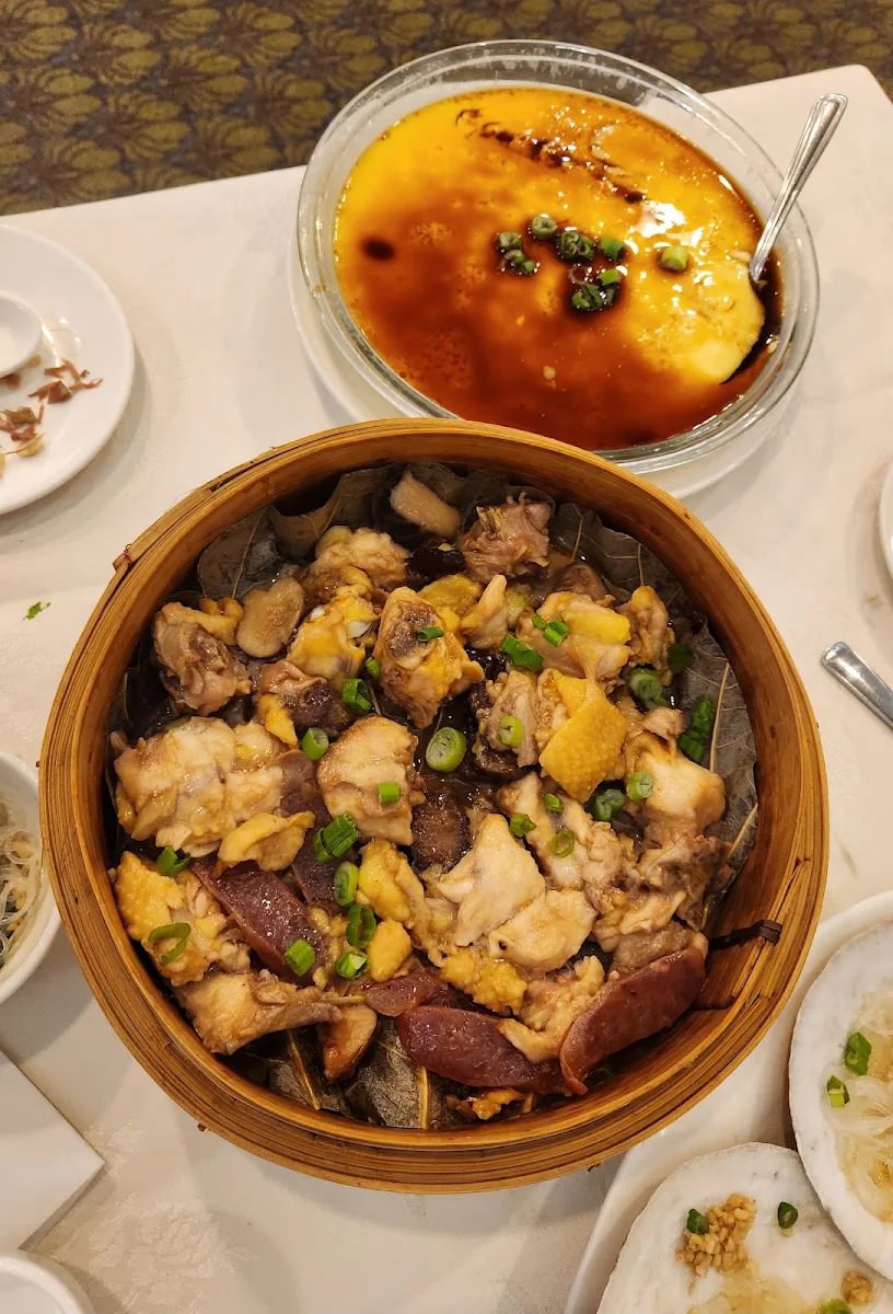 Steamed Chicken