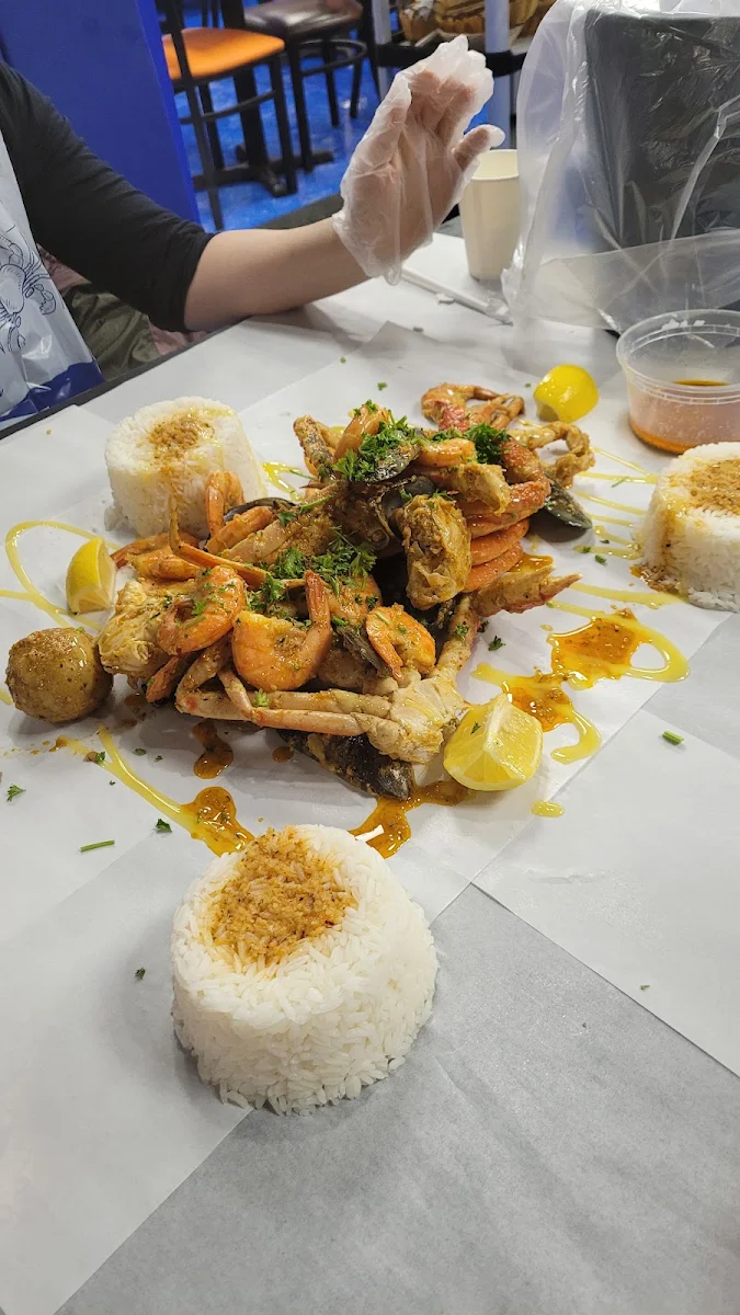 Highlights, MR CAJUN (LAVAL)