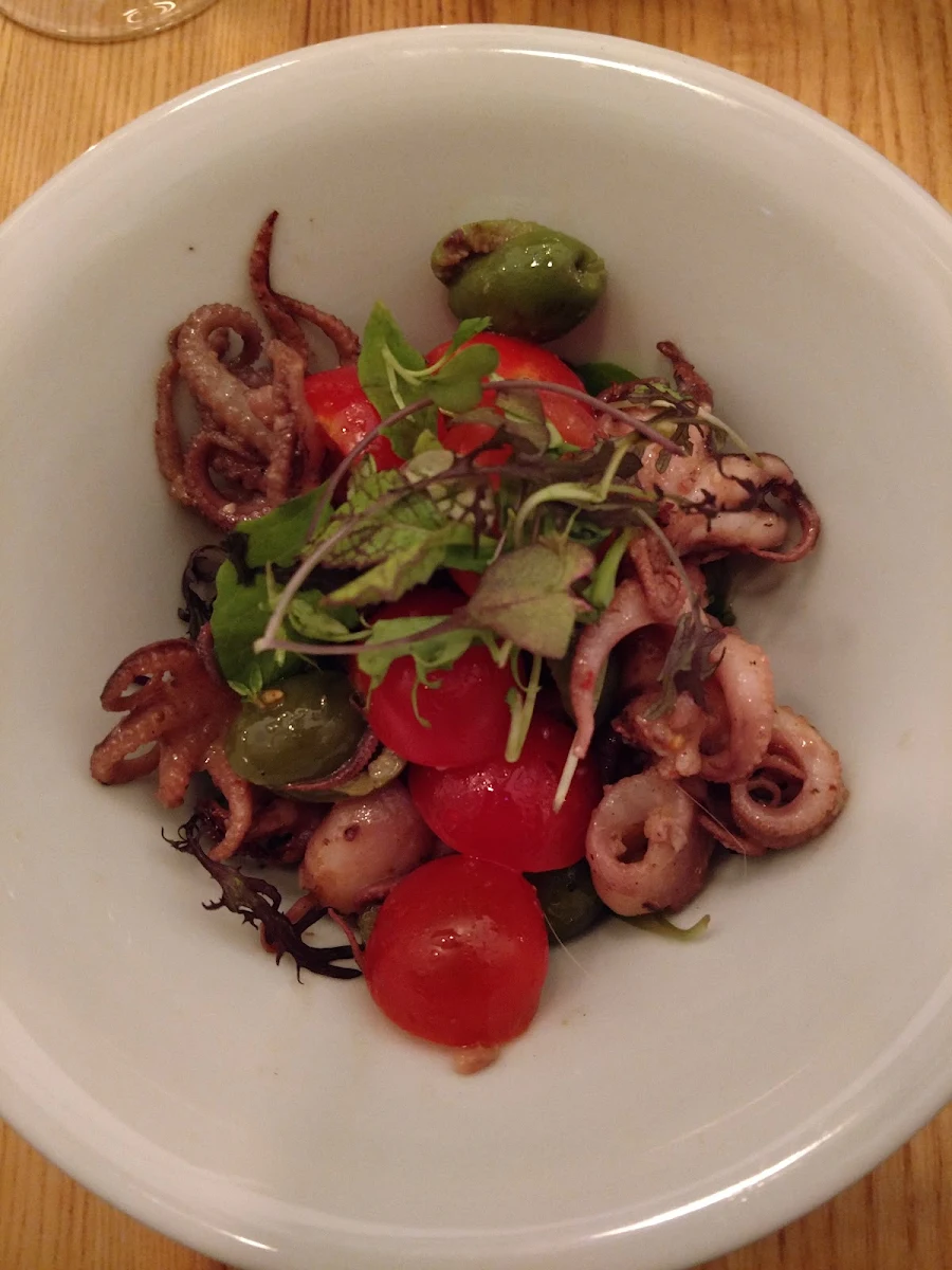 Octopus Salad